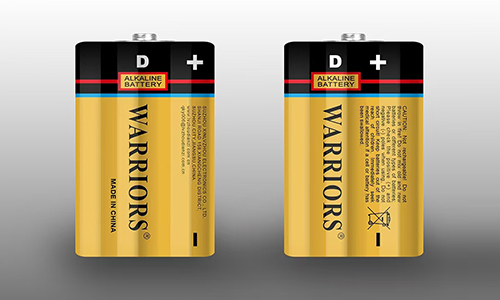 LR20 D Alkaline Batteries