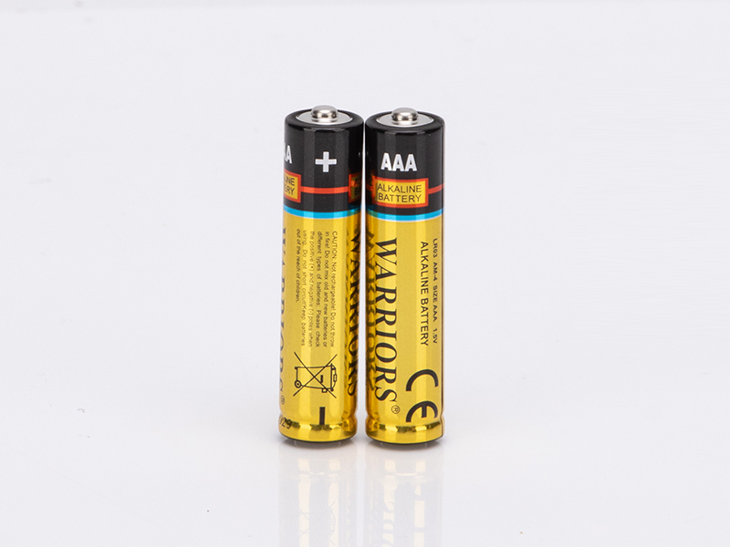 Industrial AAA Alkaline Batteries