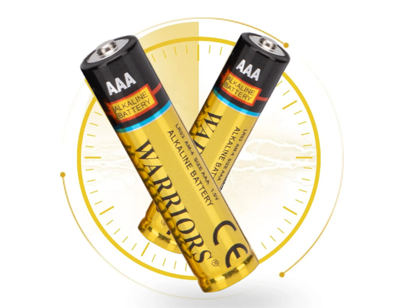 Verfallen Alkalibatterien, wenn sie nicht verwendet werden?